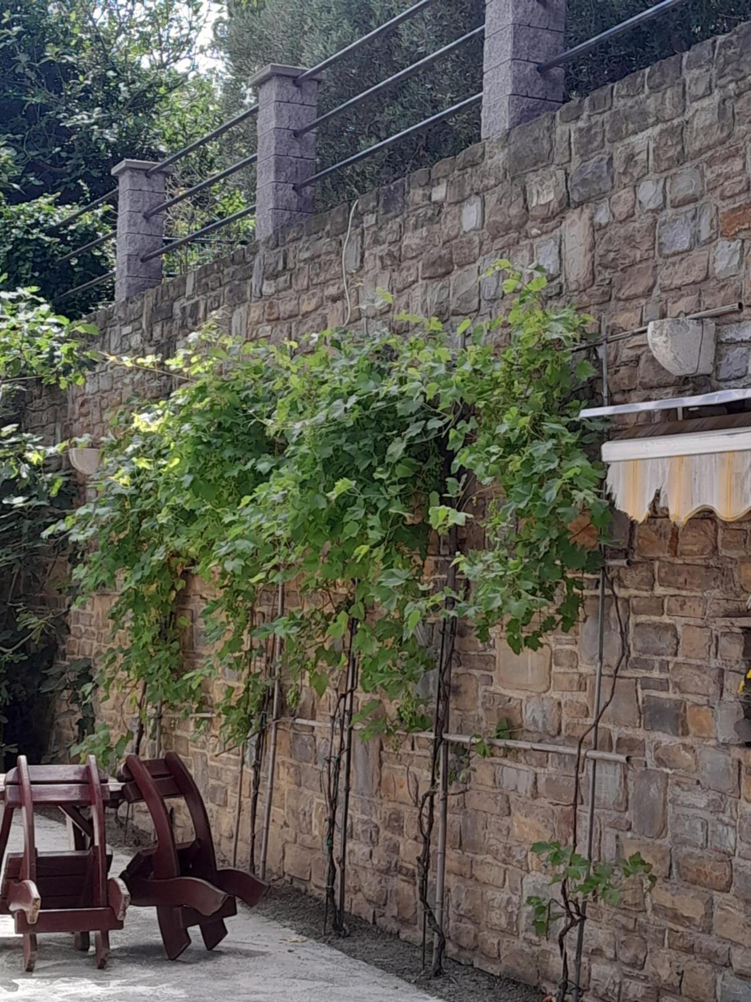 Apartmaji Strunjan Esterno foto